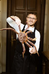Камчатский краб
