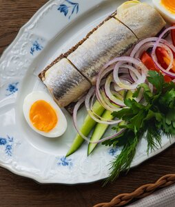 Сельдь атлантическая